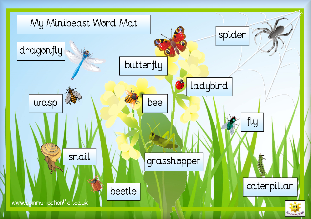 Minibeasts